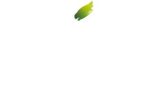 Logo Maler Beisel